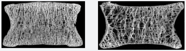 7f4b52c3-1e28-486c-856a-6459ba46c236