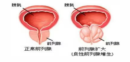 9449839e-2542-45bb-b03a-310fb64df64c