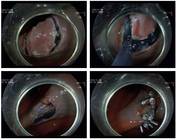 440a5a2f-8067-4a4f-a690-760b94ec4825