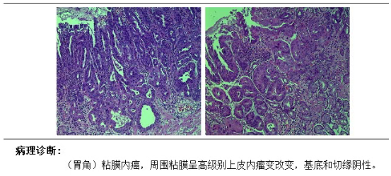 9de655eb-393e-4da4-906e-d3a5ebeaef94