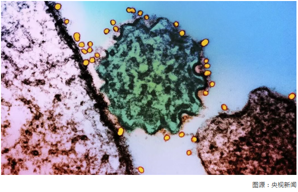 a3fbafbf-c35e-4bf6-b24f-75597485abd4