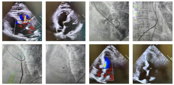 9b1ee89e-378a-45cf-b328-695b03e3c3fb