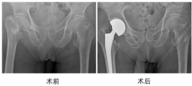 c83ec1fe-b831-4468-9d3c-620adae6f003