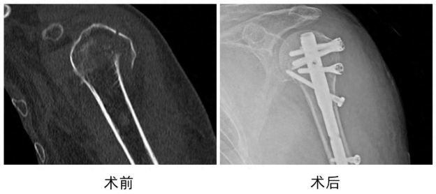 ef4ec55f-1ef1-4206-8d4c-fb4f469b6968